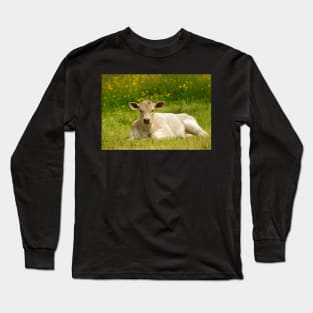 Calf in a  field of butter cups Long Sleeve T-Shirt